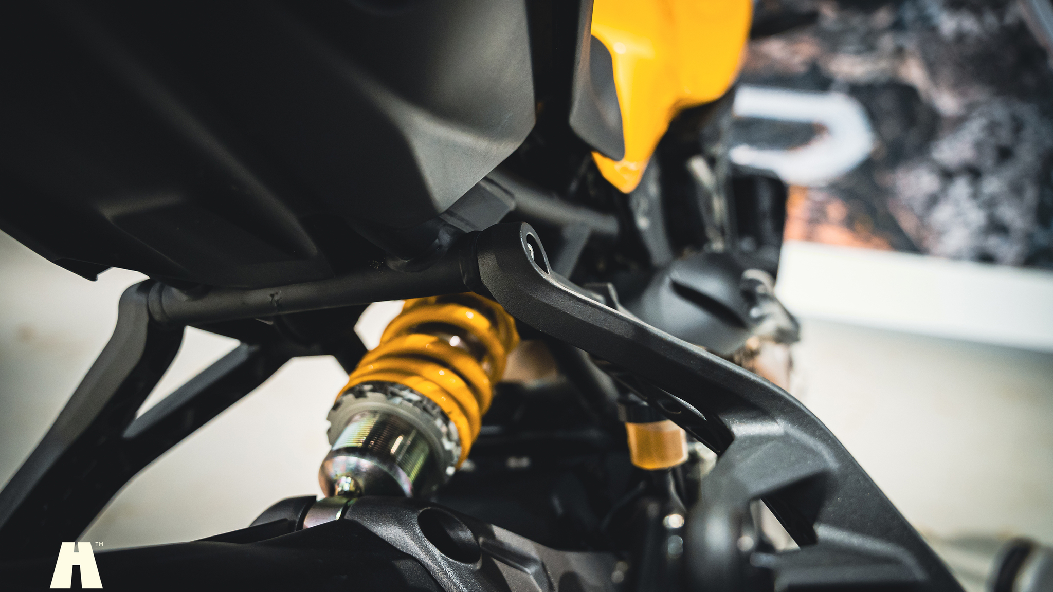 Image of 2018 Ducati Monster 821 mechanics