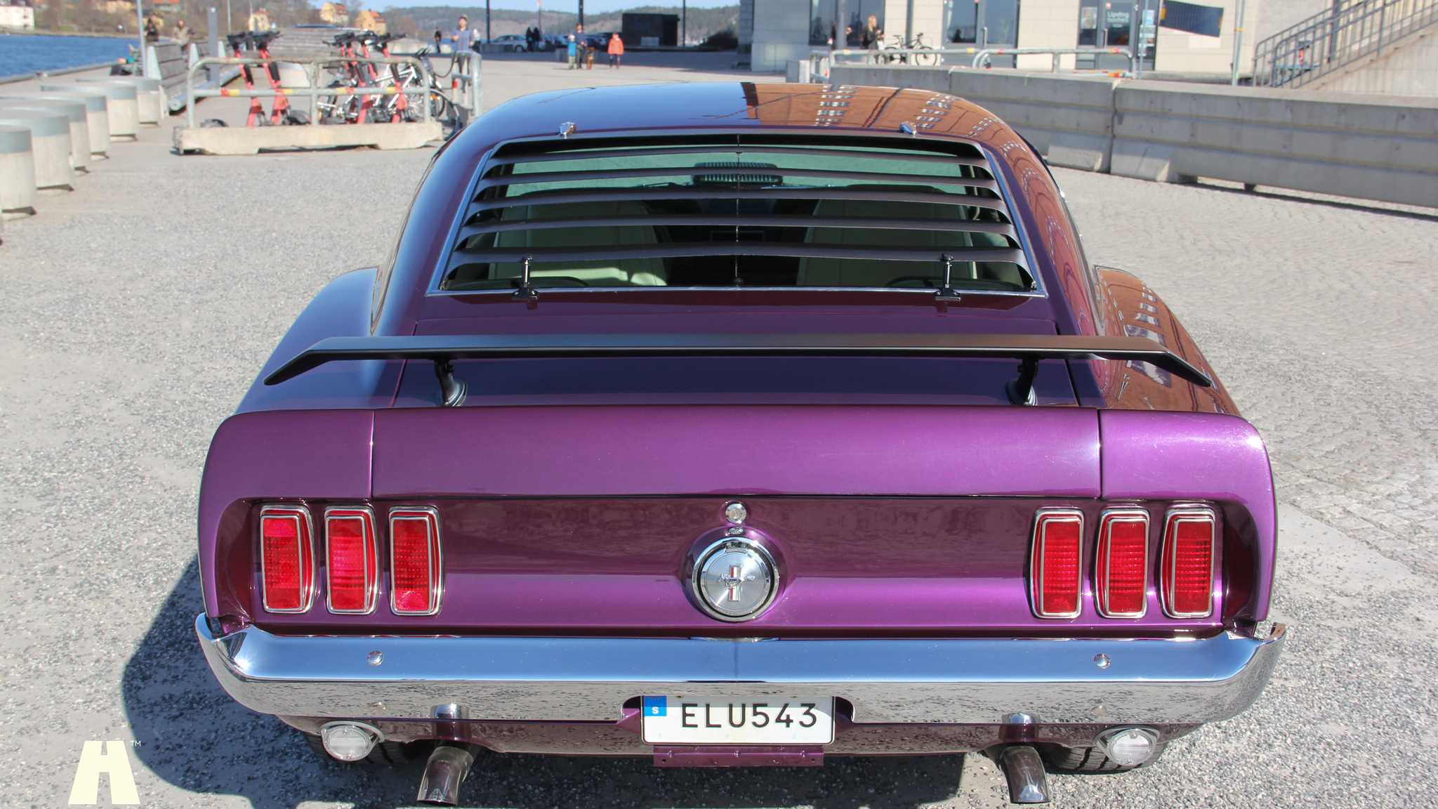 Aussenfoto 1969 Ford Mustang Mach 1 (7)