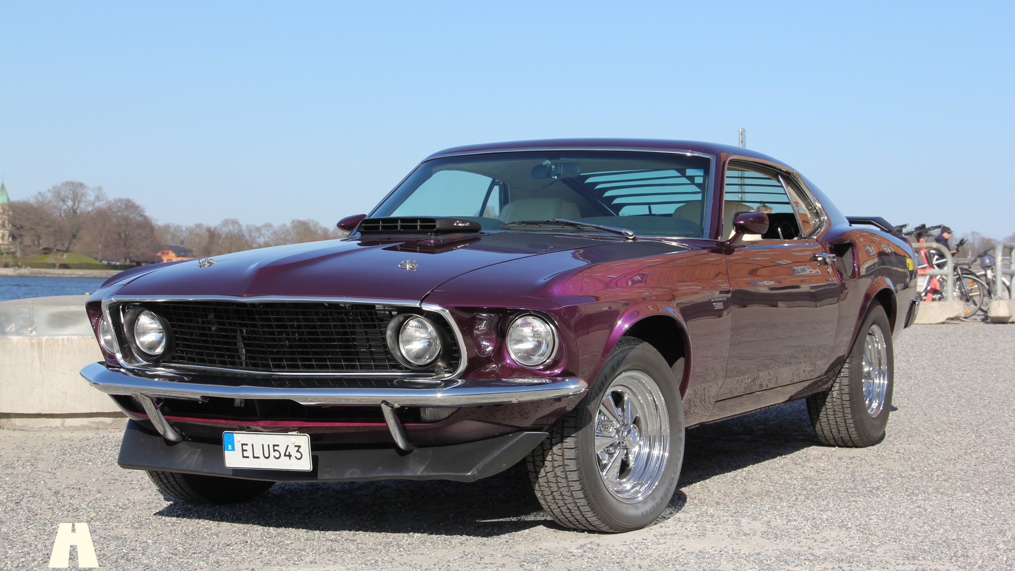 Exterior image of 1969 Ford Mustang Mach 1 (13)