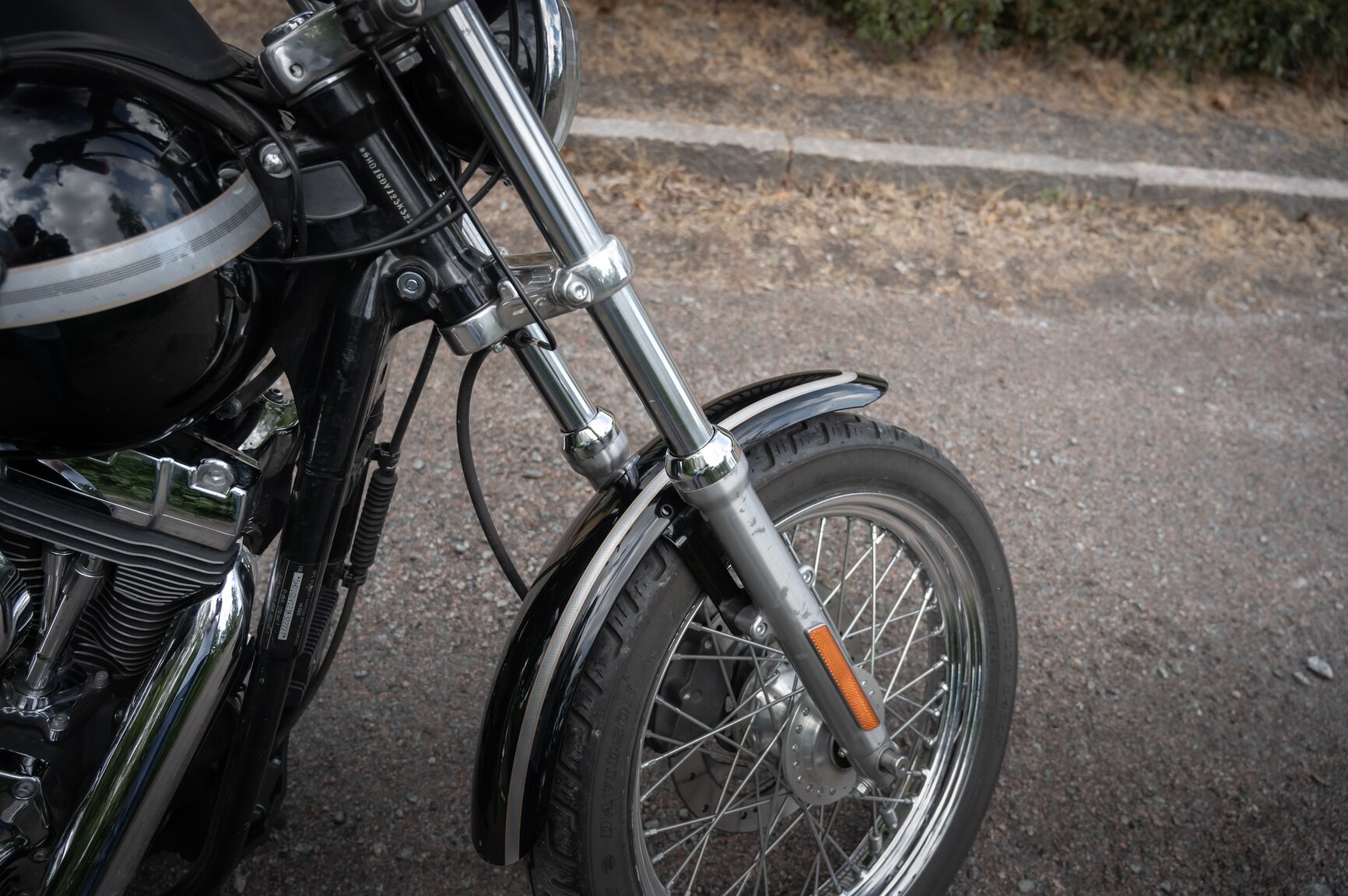 Exteriörbild på 2003 Harley-Davidson FXDL 100th Anniversary