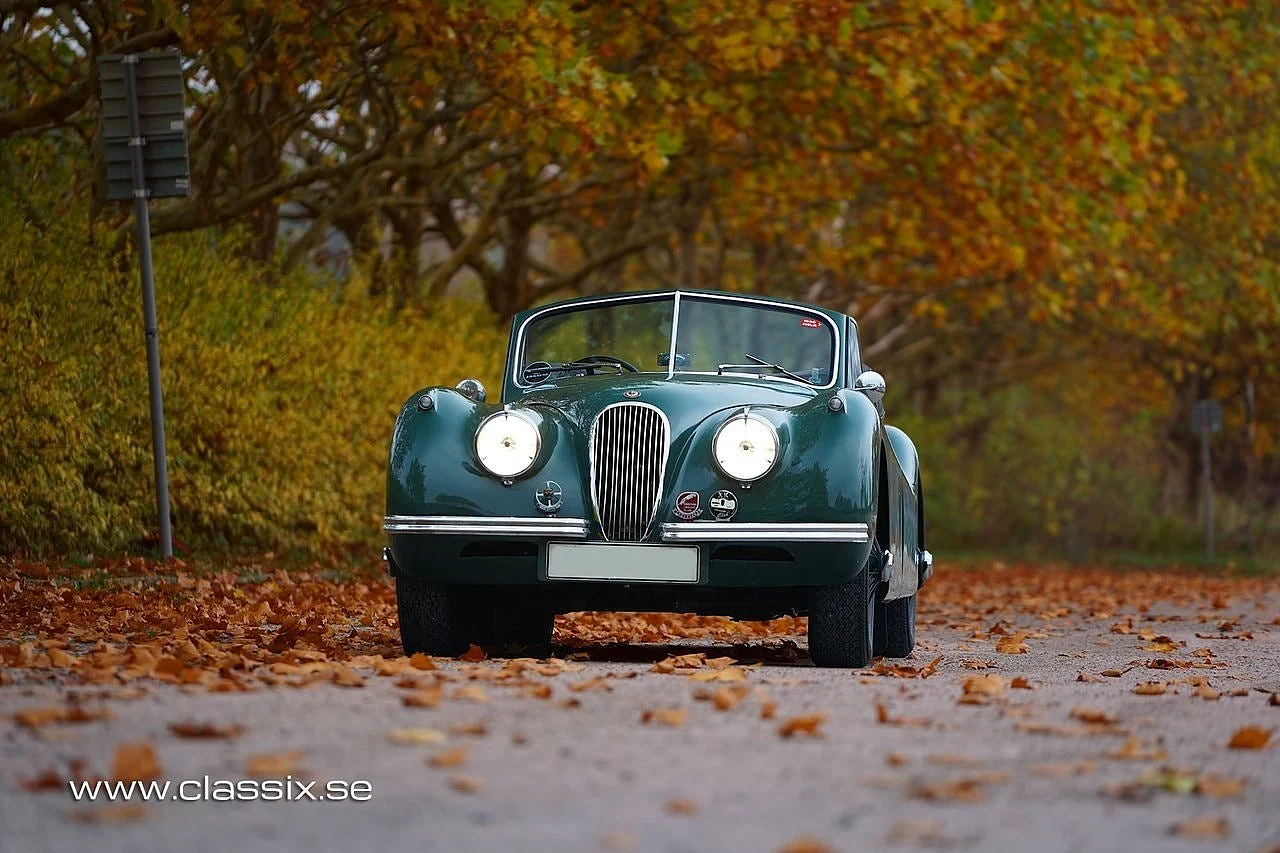 Bild von 1954 Jaguar XK120 (3)