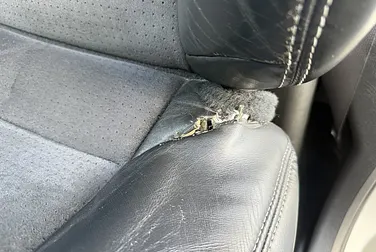 #<Image:0x00007ff691674398>