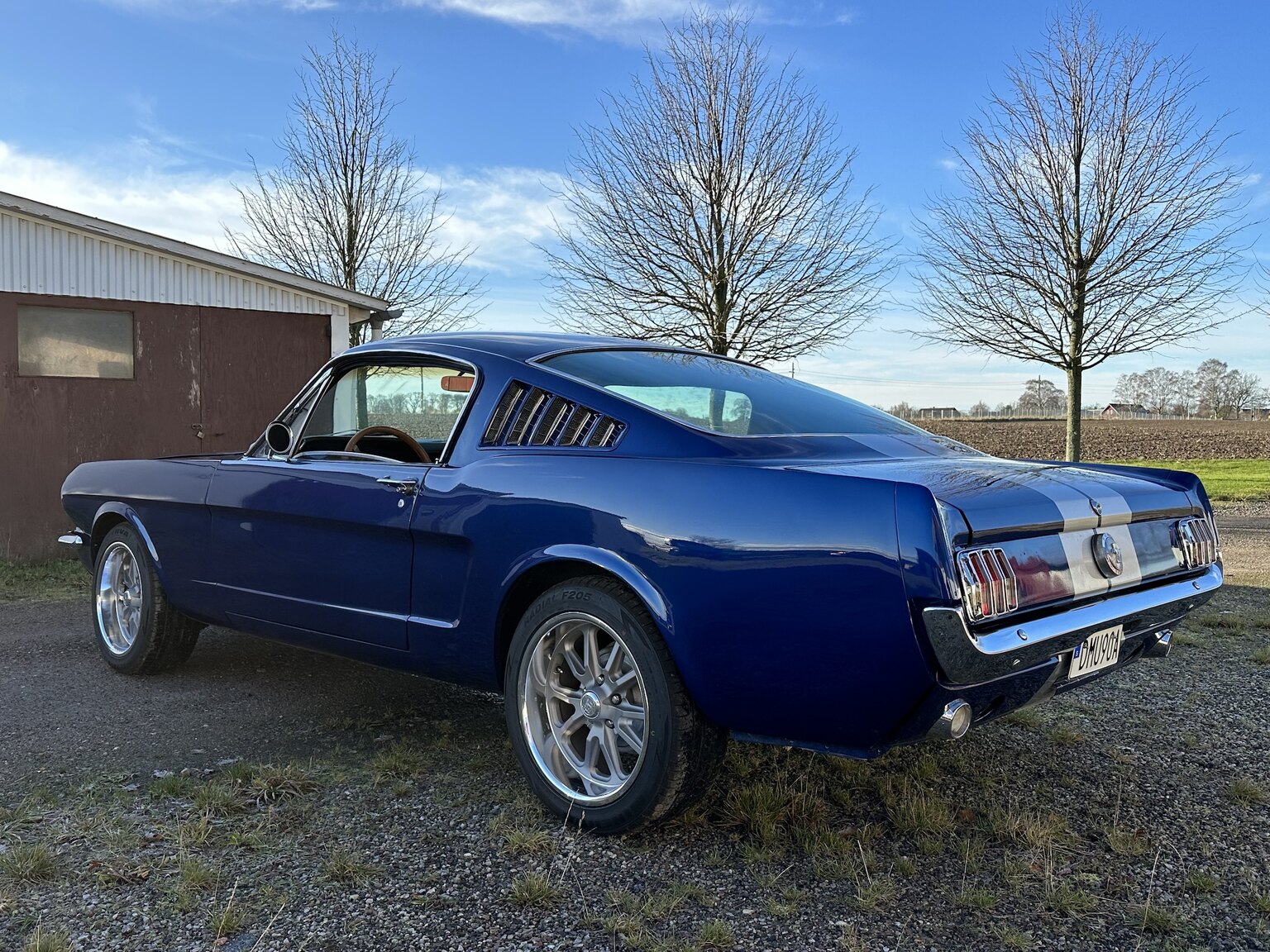 Aussenfoto 1965 Ford Mustang Fastback 351W (7)