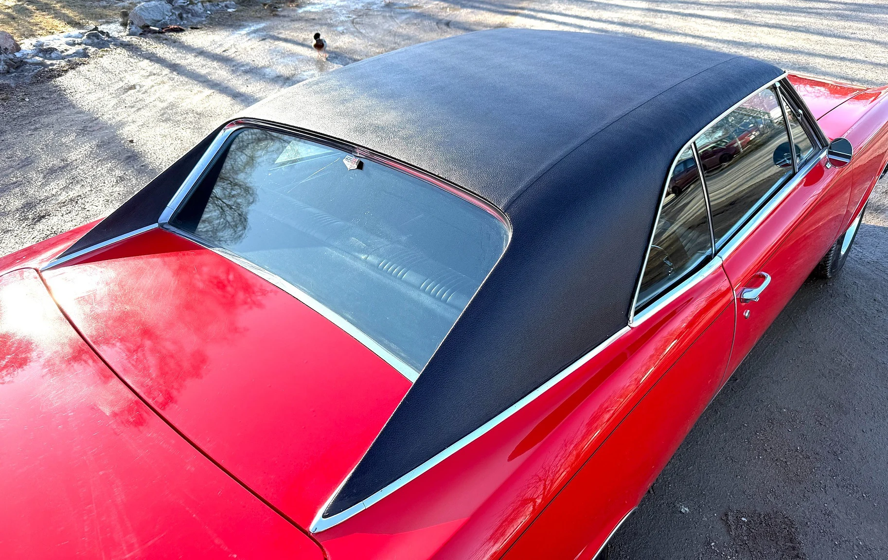 Aussenfoto 1967 Pontiac GTO Hardtop (45)