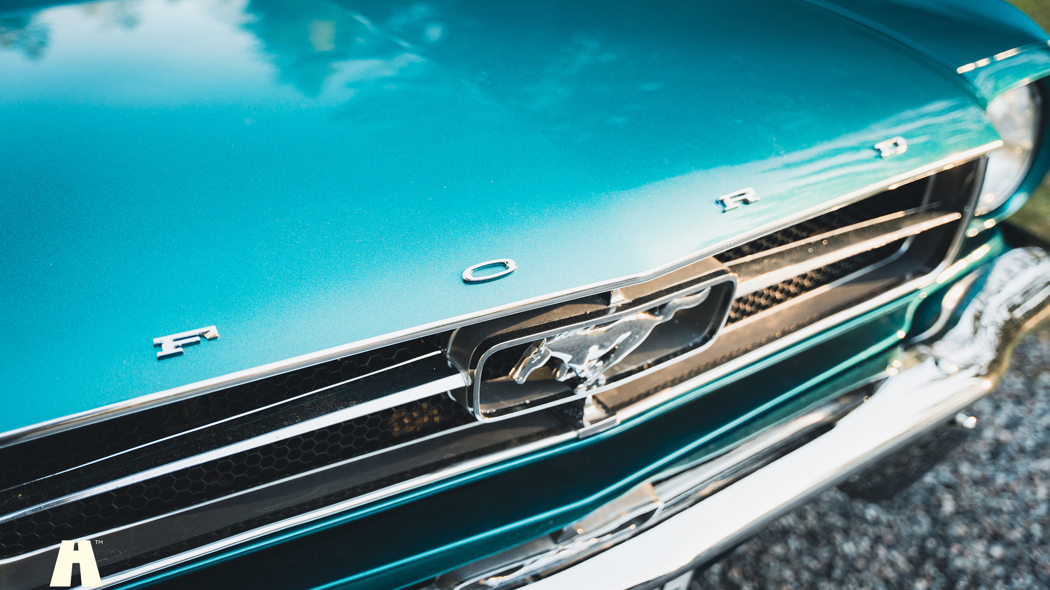 Exterior image of 1965 Ford Mustang Cabriolet (25)