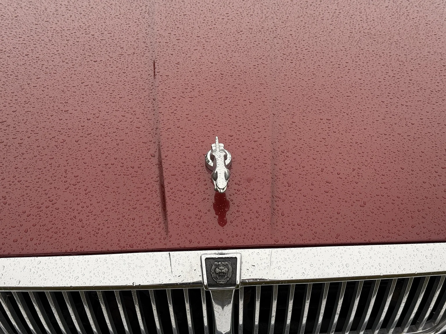 Aussenfoto 1991 Jaguar XJ40 Sovereign (20)