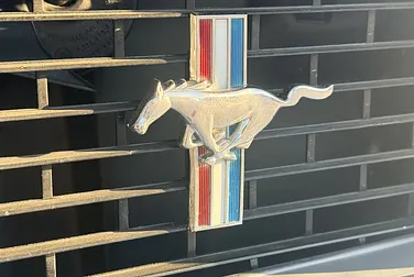 #<Image:0x00007fe99bf50780>