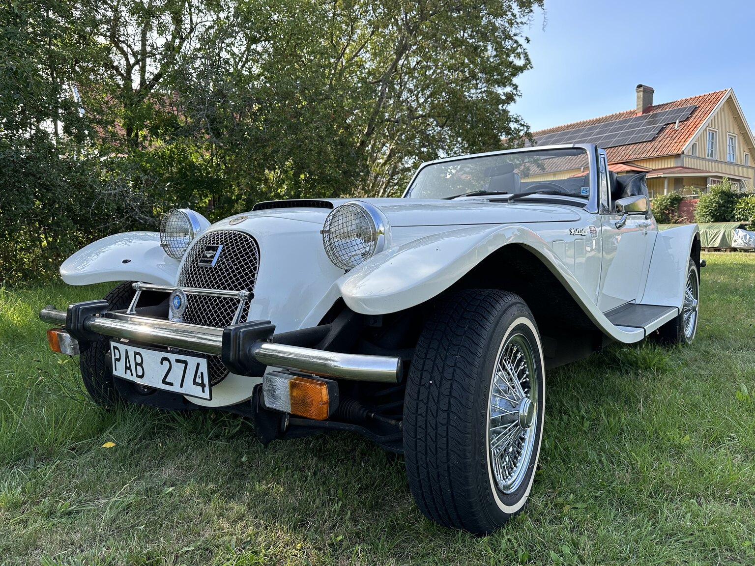 Exterior image of 1988 Panther Kallista