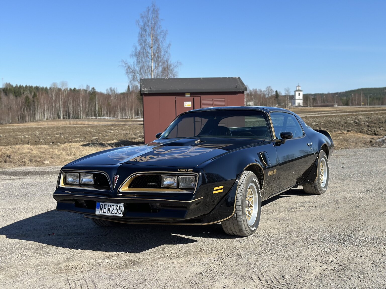 Exterior image of 1978 Pontiac Trans Am Bandit 400