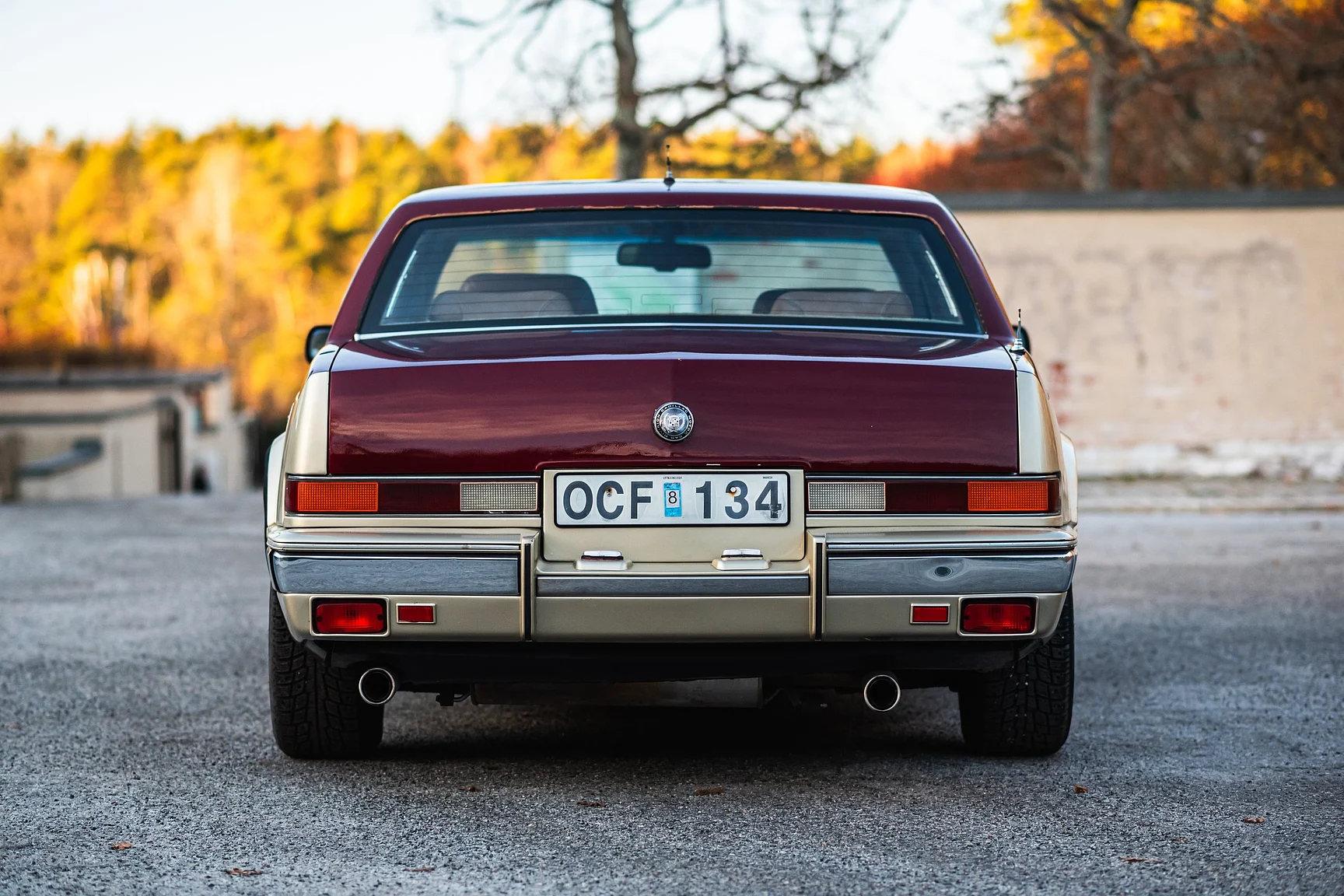 Exterior image of 1989 Cadillac Seville (4)