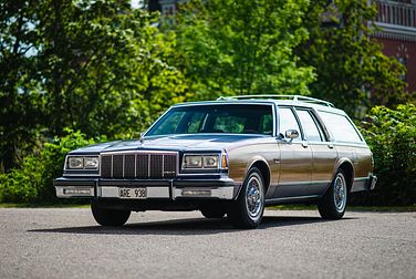 1983 Buick Electra Estate Wagon 5.0 ARE938