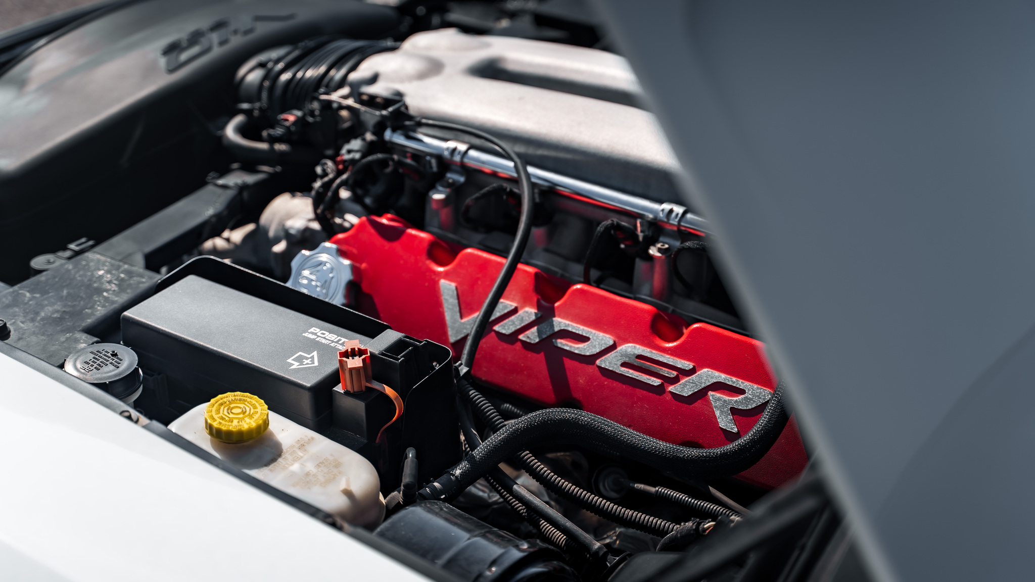 Image of 2004 Dodge Viper Mamba Edition mechanics