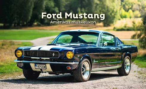 Ford Mustang — Amerikas Muskelikon