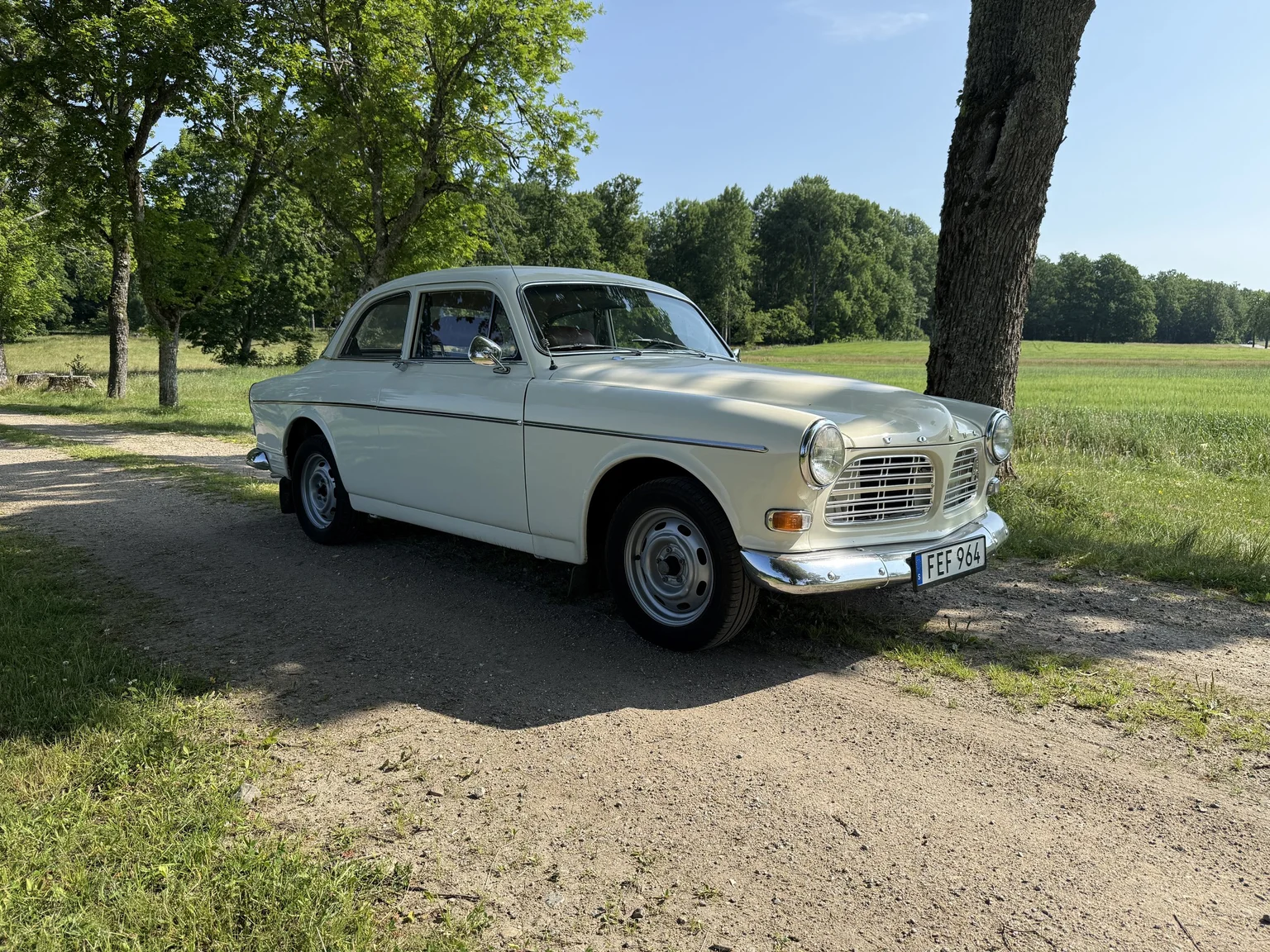 Aussenfoto 1970 Volvo Amazon (3)