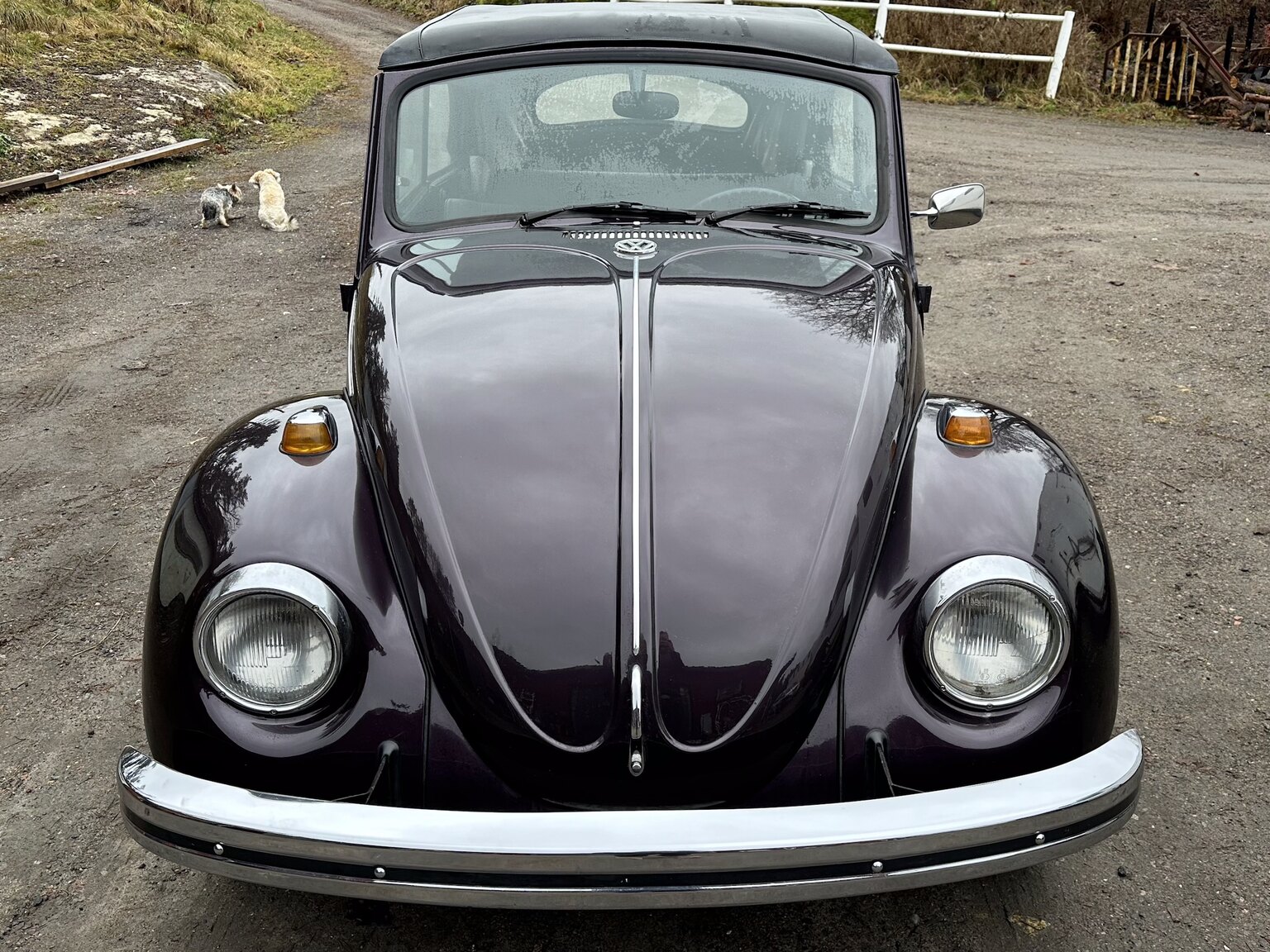 Aussenfoto 1968 Volkswagen Beetle 1500 Cabriolet