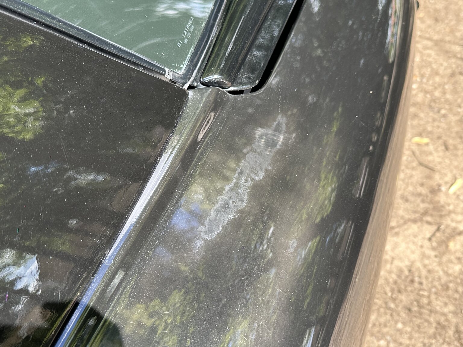 Exterior image of 2000 Pontiac TransAm Firebird (63)