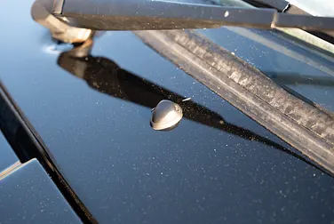 #<Image:0x00007f2fe188fdc0>