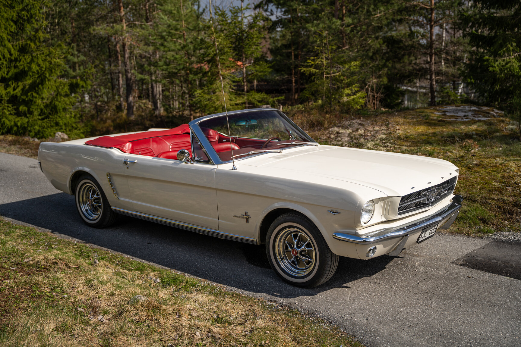 Aussenfoto 1965 Ford Mustang Cabriolet (15)