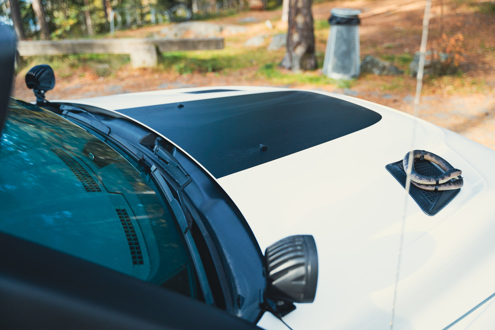 Aussenfoto 2017 Dodge Ram 1500 AEV (40)