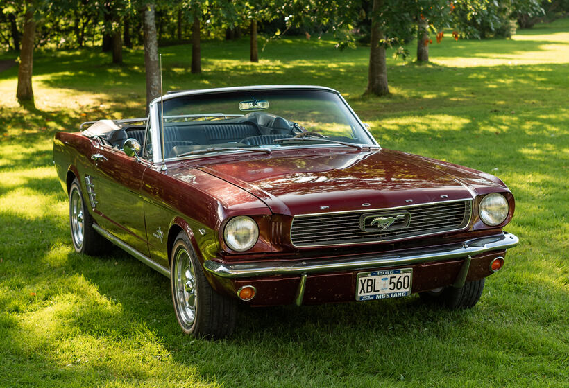 1966 Ford Mustang Convertible XBL560