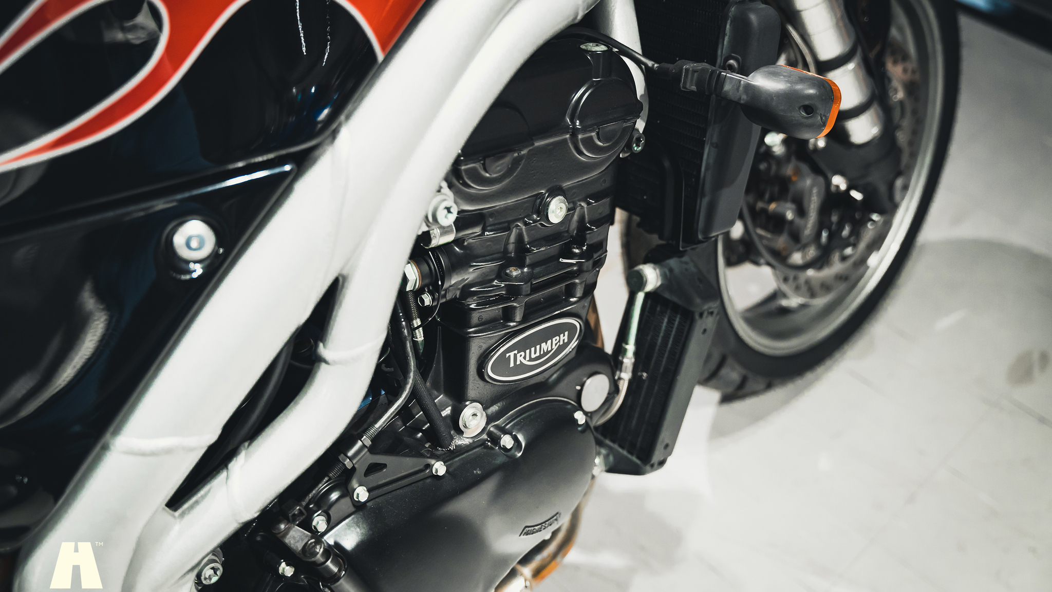 Image of 2001 Triumph Speed Triple (18) mechanics