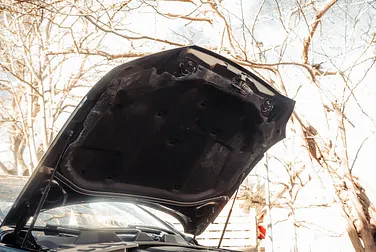 #<Image:0x00007fa260562818>