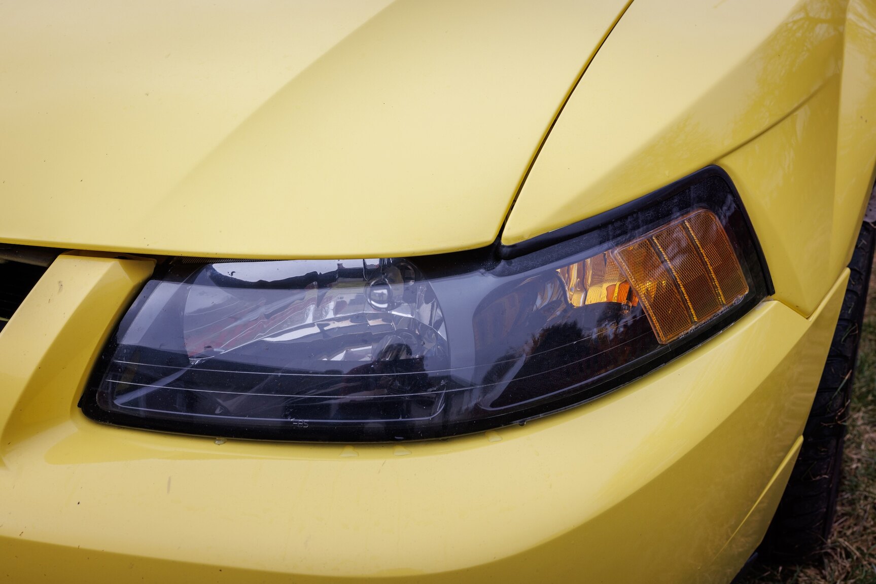 Exterior image of 2003 Ford Mustang SVT Cobra