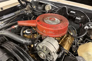 #<Image:0x00007fb770503708>