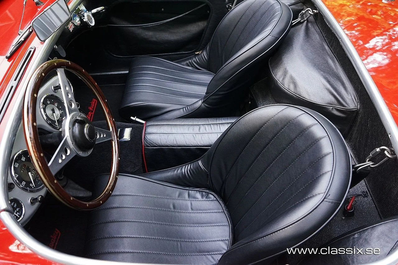 Bild von 1954 Austin Healey 100 BN1 (19)