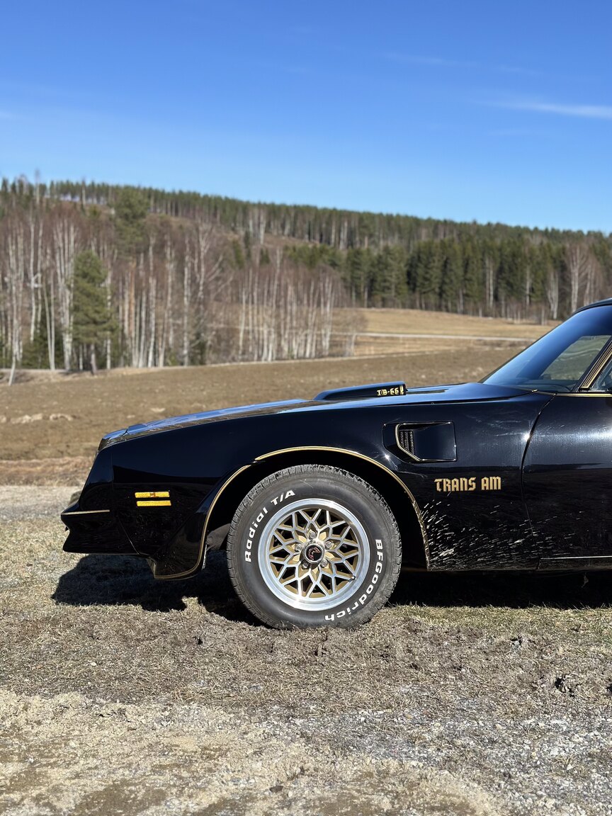 Exteriörbild på 1978 Pontiac Trans Am Bandit 400