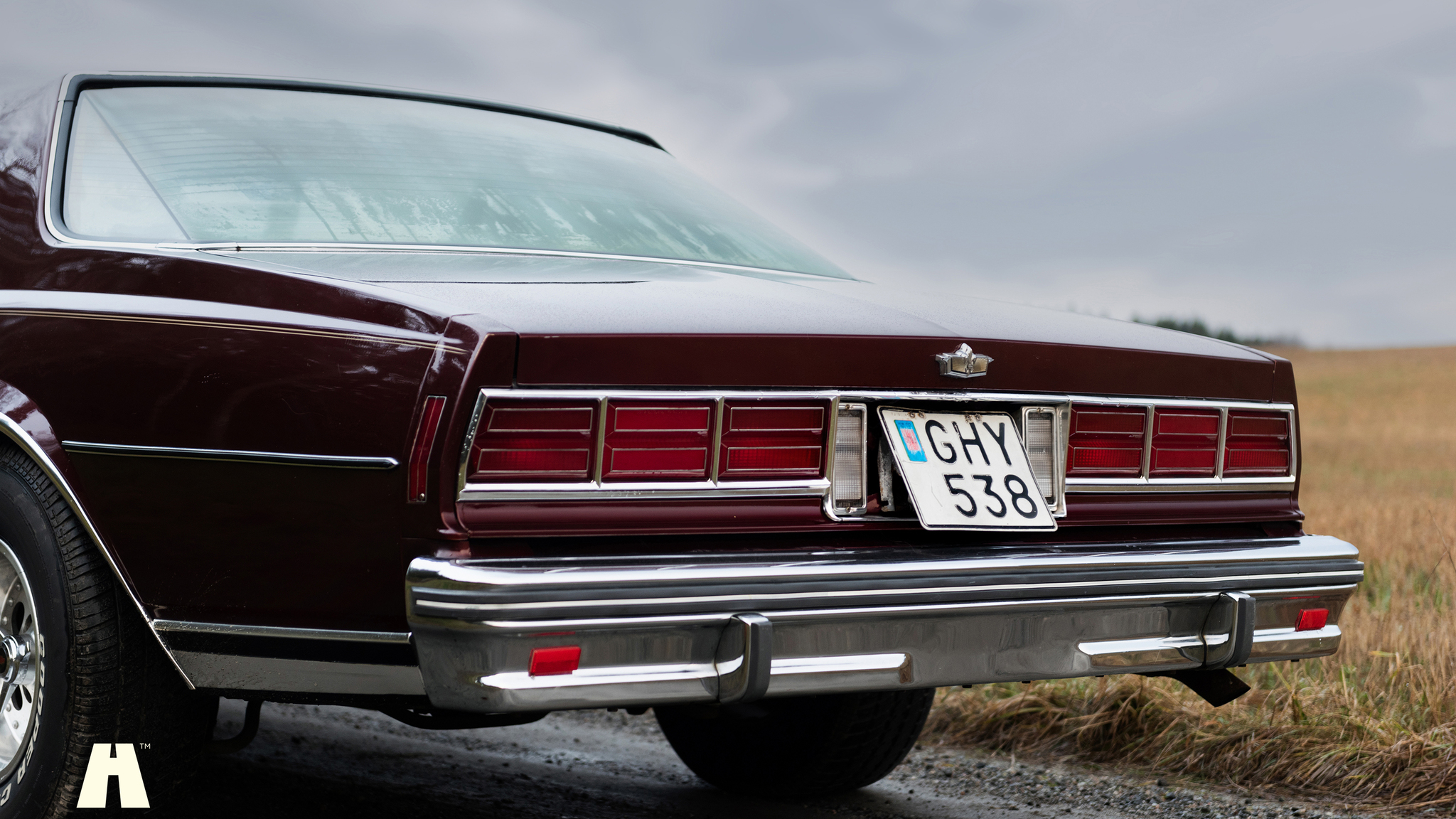 Aussenfoto 1977 Chevrolet Caprice Classic