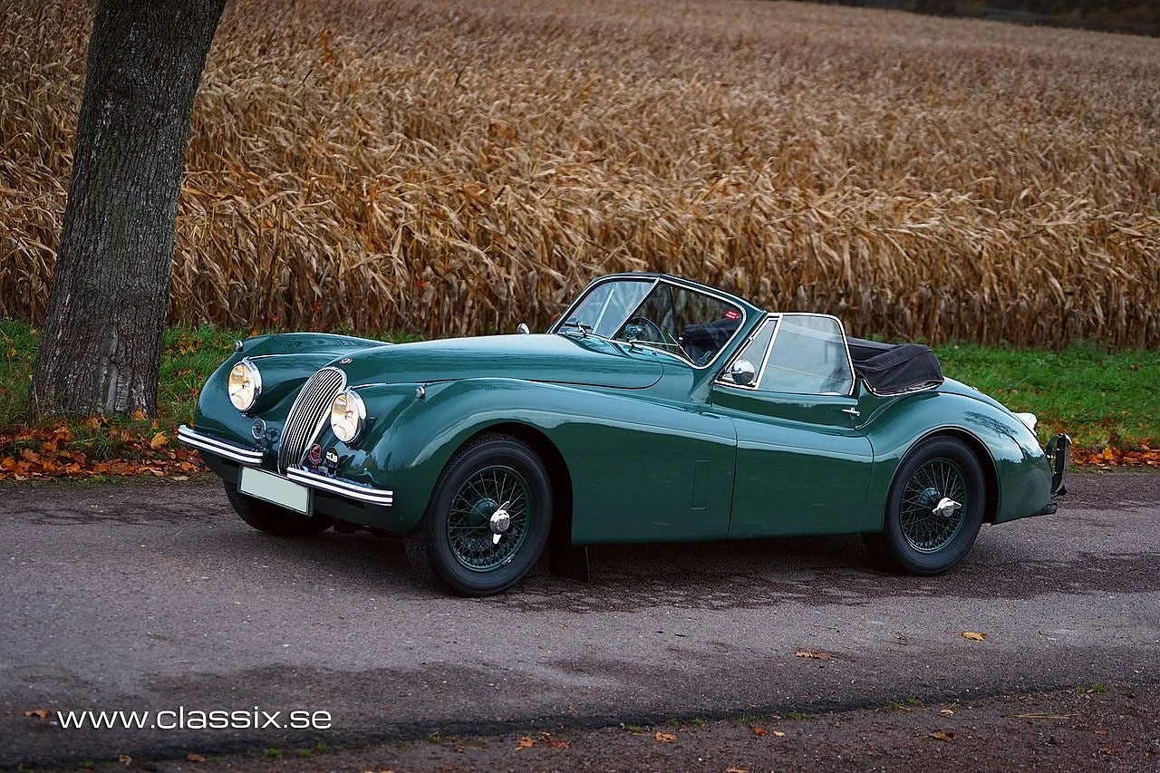 Bild von 1954 Jaguar XK120 (8)