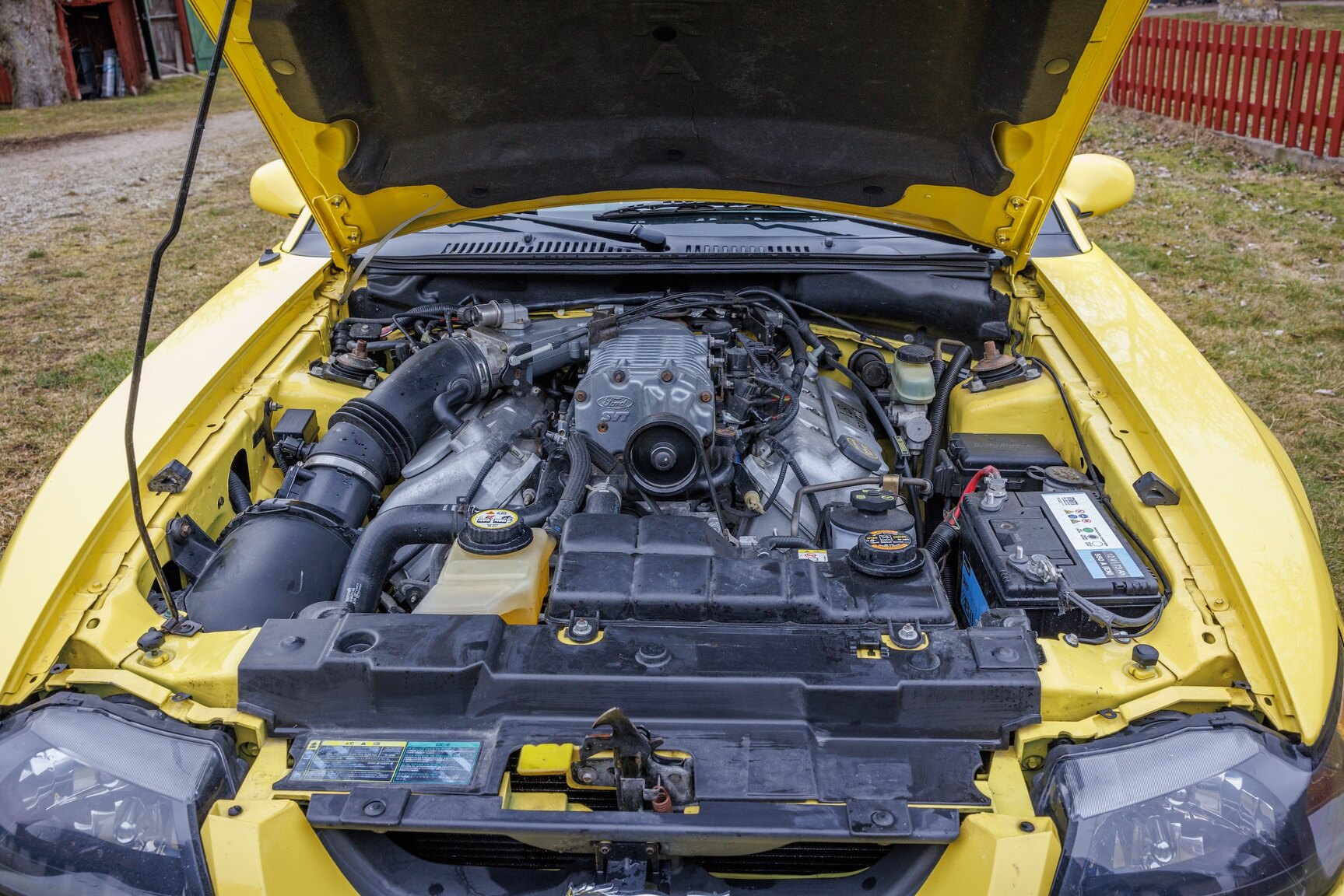 Image of 2003 Ford Mustang SVT Cobra mechanics