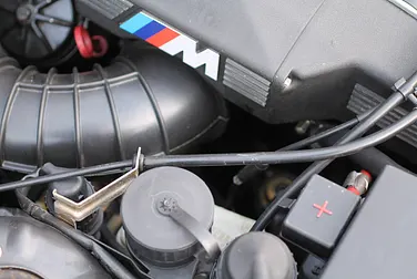 #<Image:0x00007f3009117318>