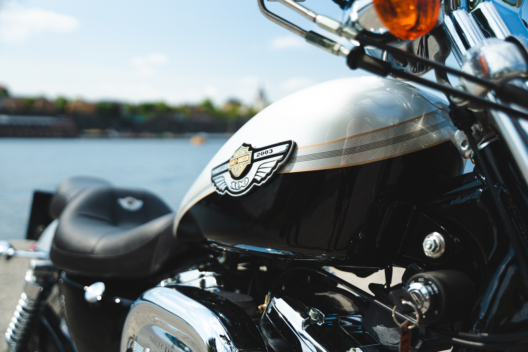 Aussenfoto 2003 Harley Davidson Sportster 1200 100th Anniversary (24)