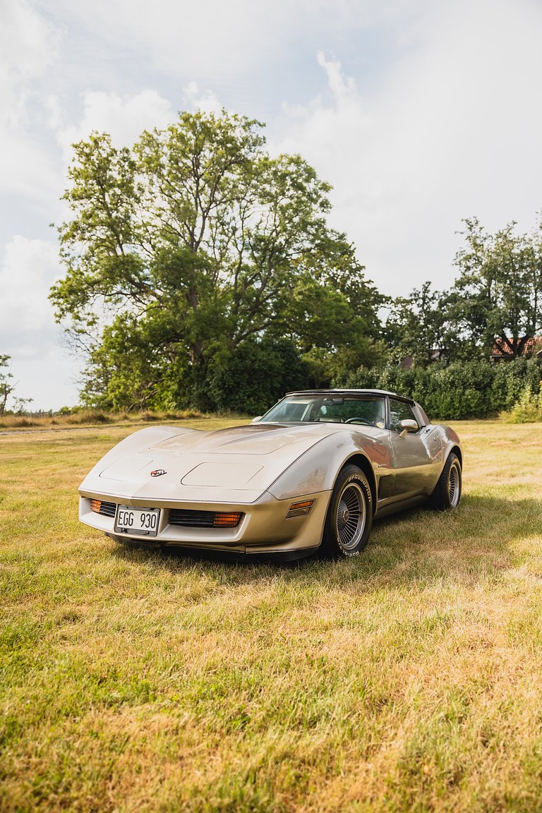 Exterior image of 1982 Chevrolet Corvette Collector Edition