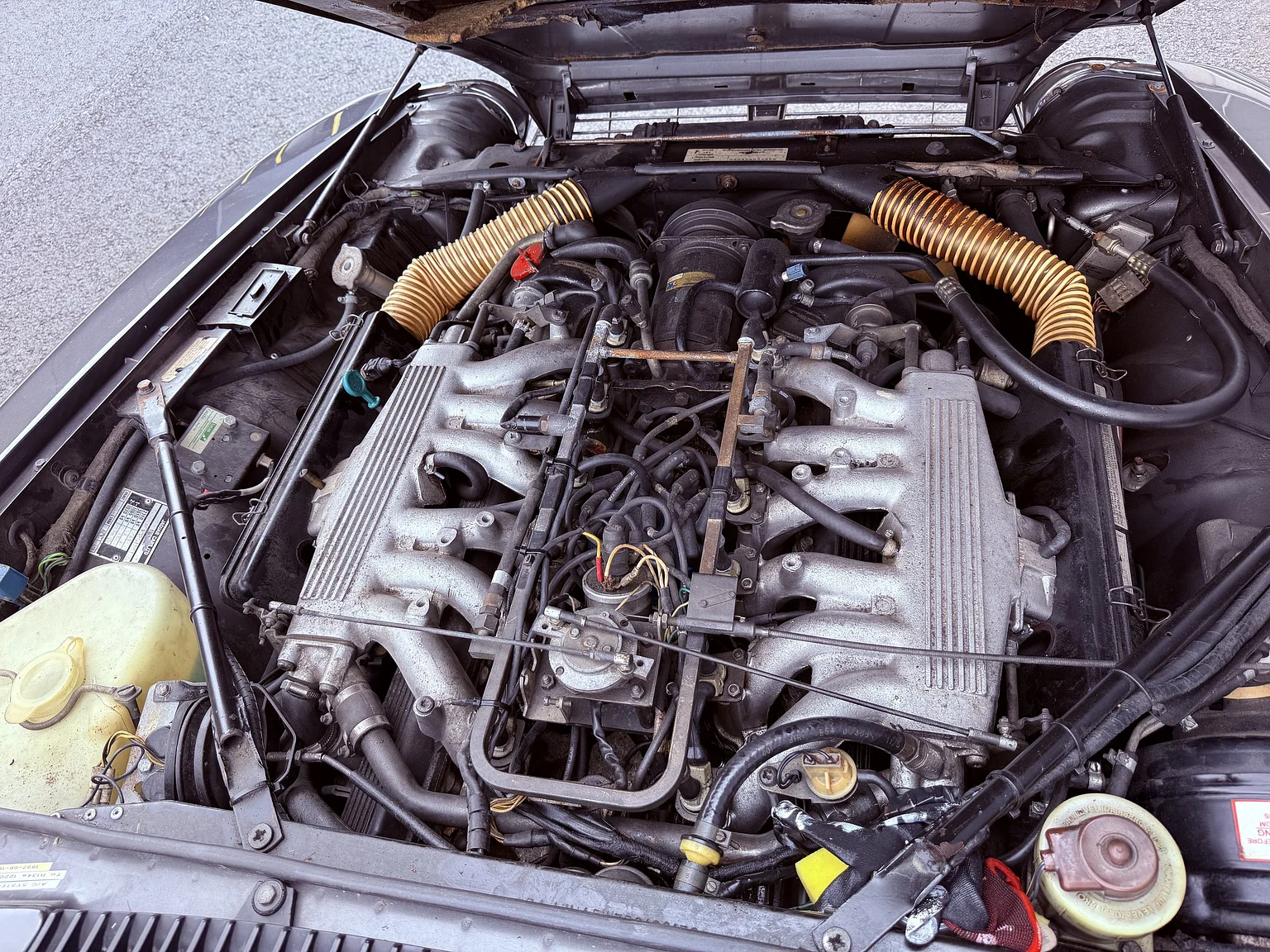 Image of 1985 Jaguar XJS HE mechanics (16)