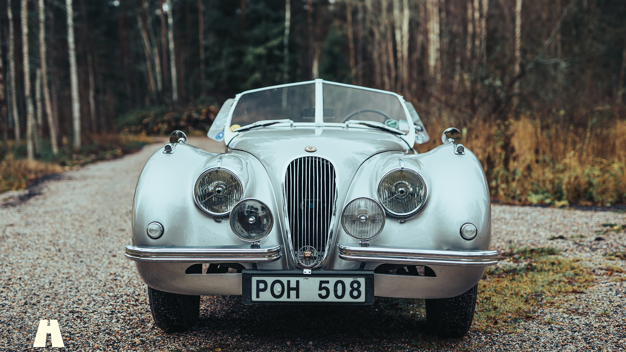 Aussenfoto 1951 Jaguar XK120