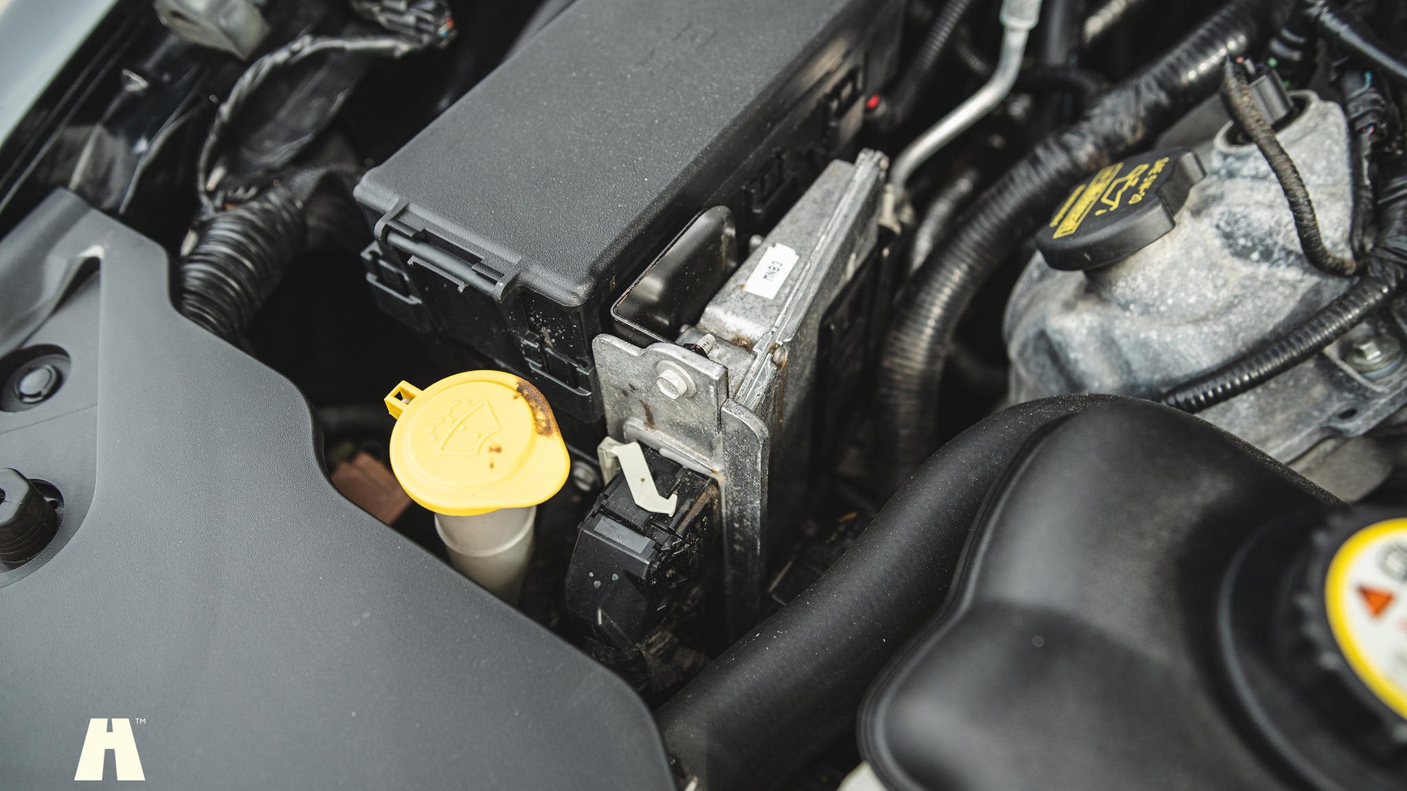 Image of 2010 Ford Mustang GT  mechanics