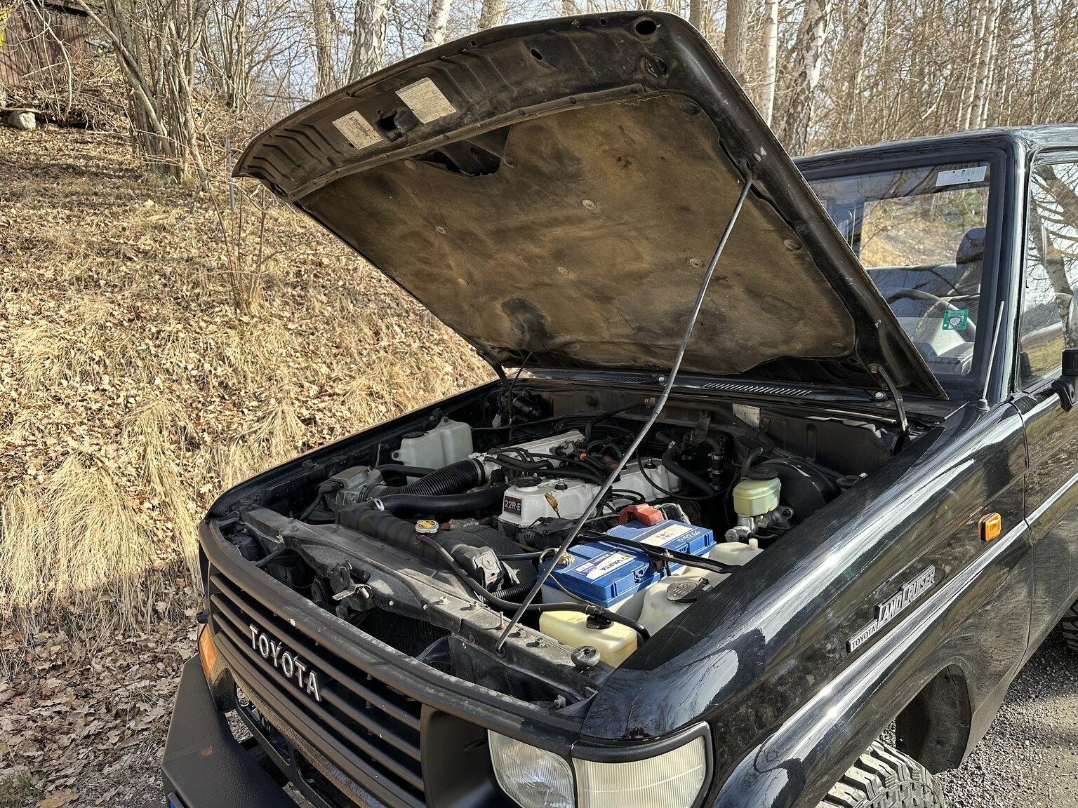 Image of 1993 Toyota Land Cruiser Serie 70 mechanics