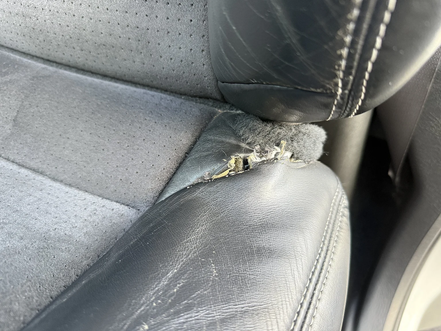 Interior image of 2005 Dodge RAM SRT-10 Regular Cab Manual  (5)