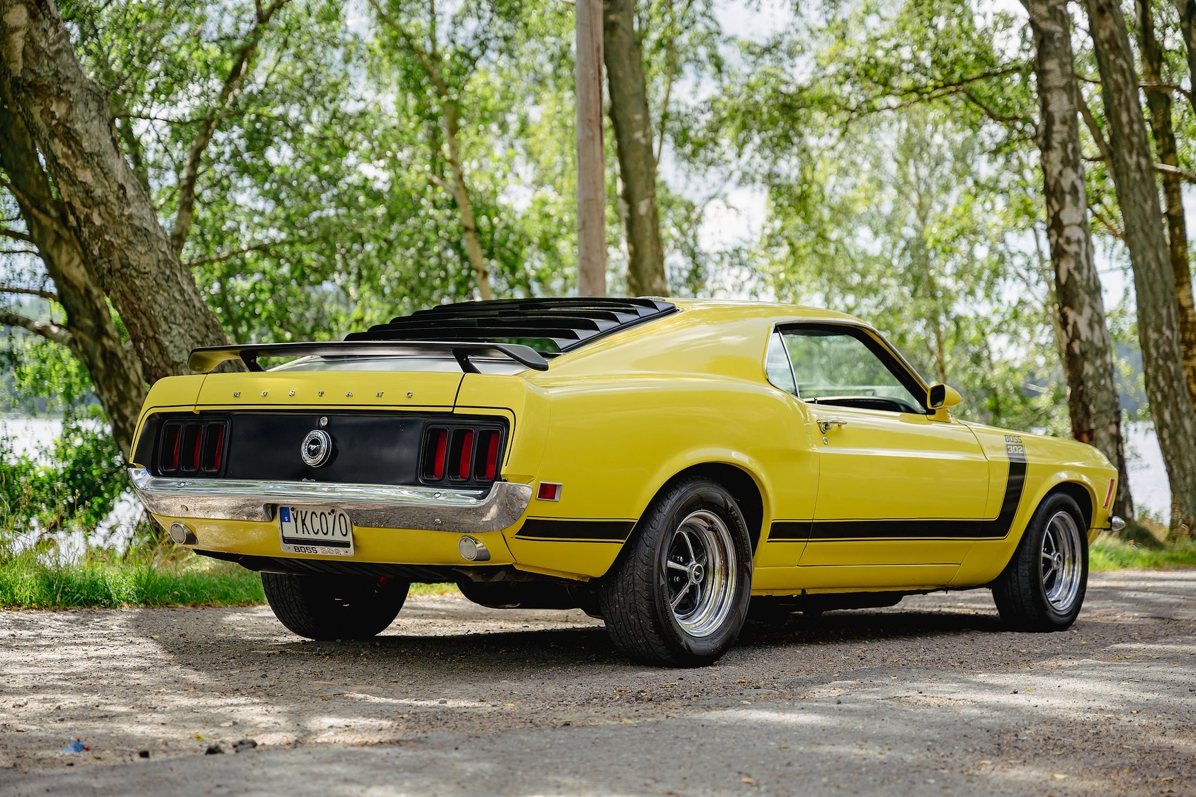 Exterior image of 1970 Ford Mustang Boss 302
