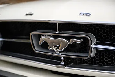 #<Image:0x00007fa27760dd50>