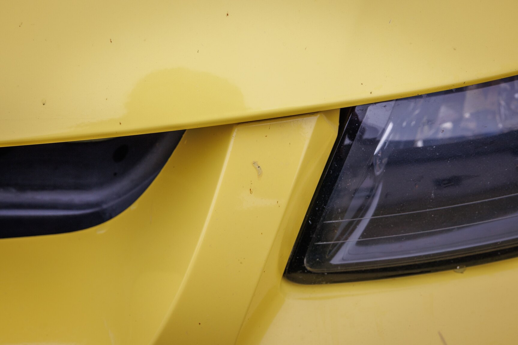 Exterior image of 2003 Ford Mustang SVT Cobra
