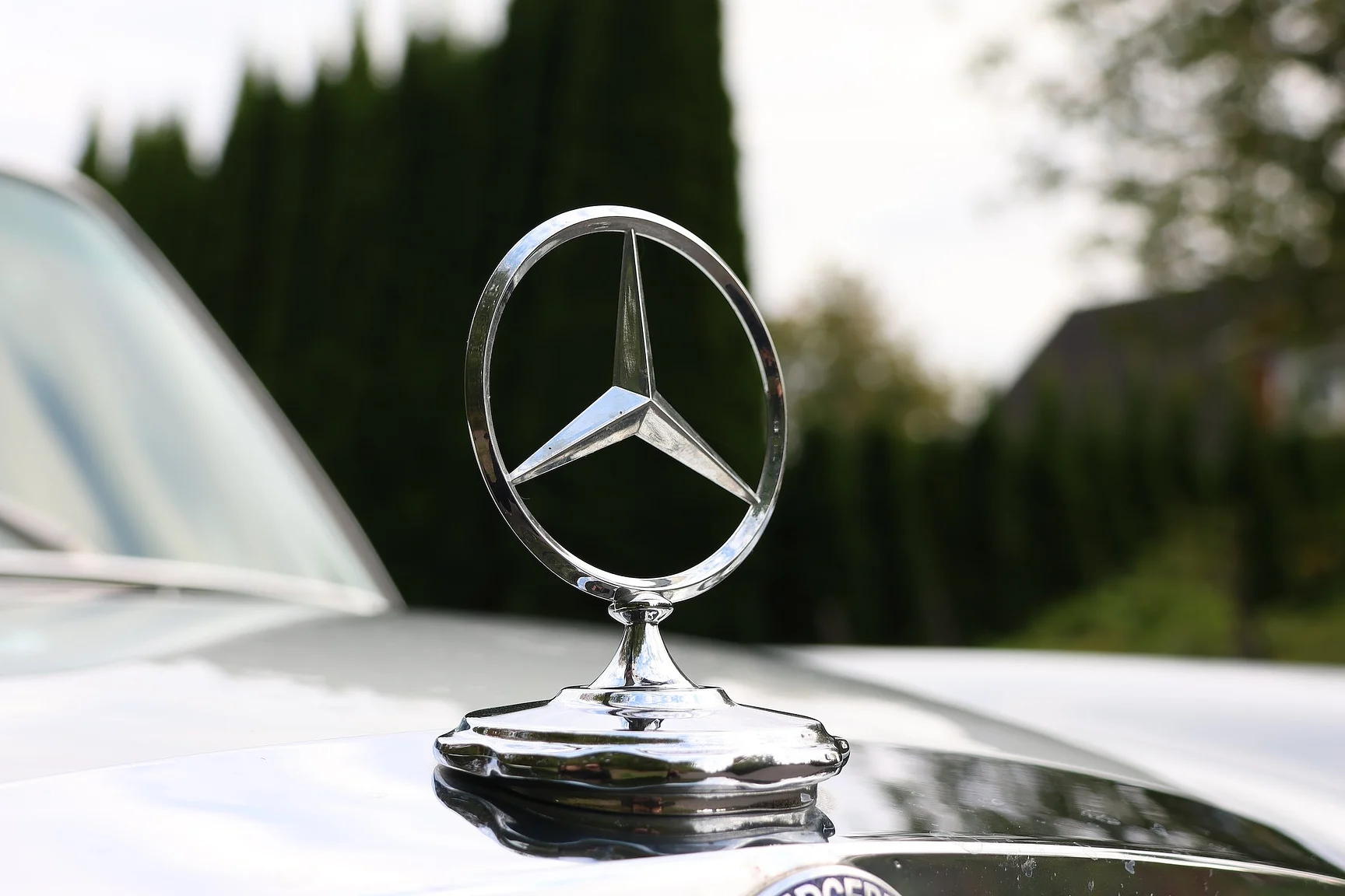 Aussenfoto 1972 Mercedes-Benz 280 SE 4.5  (26)