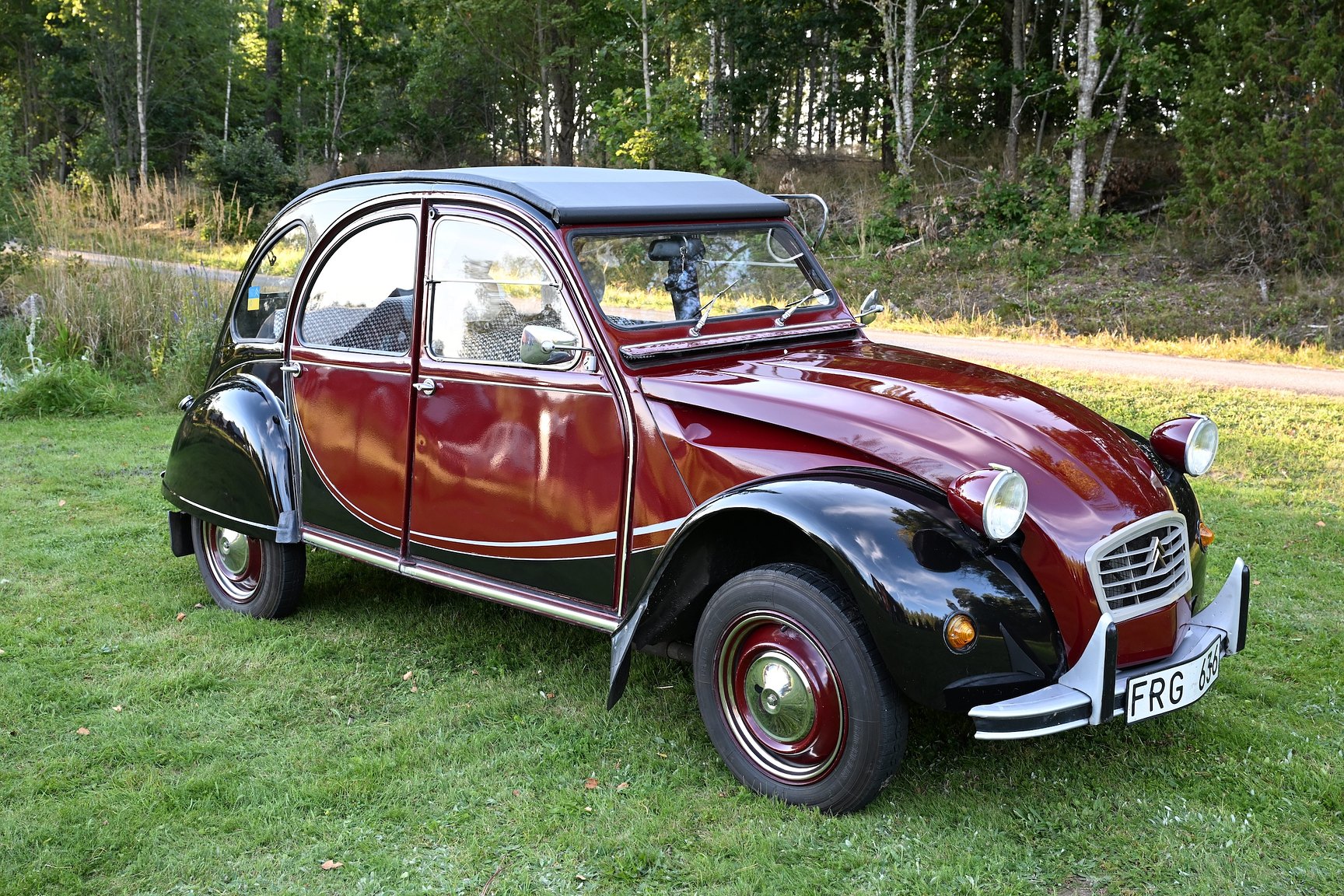 Exterior image of 1981 Citroën 2CV Charleston