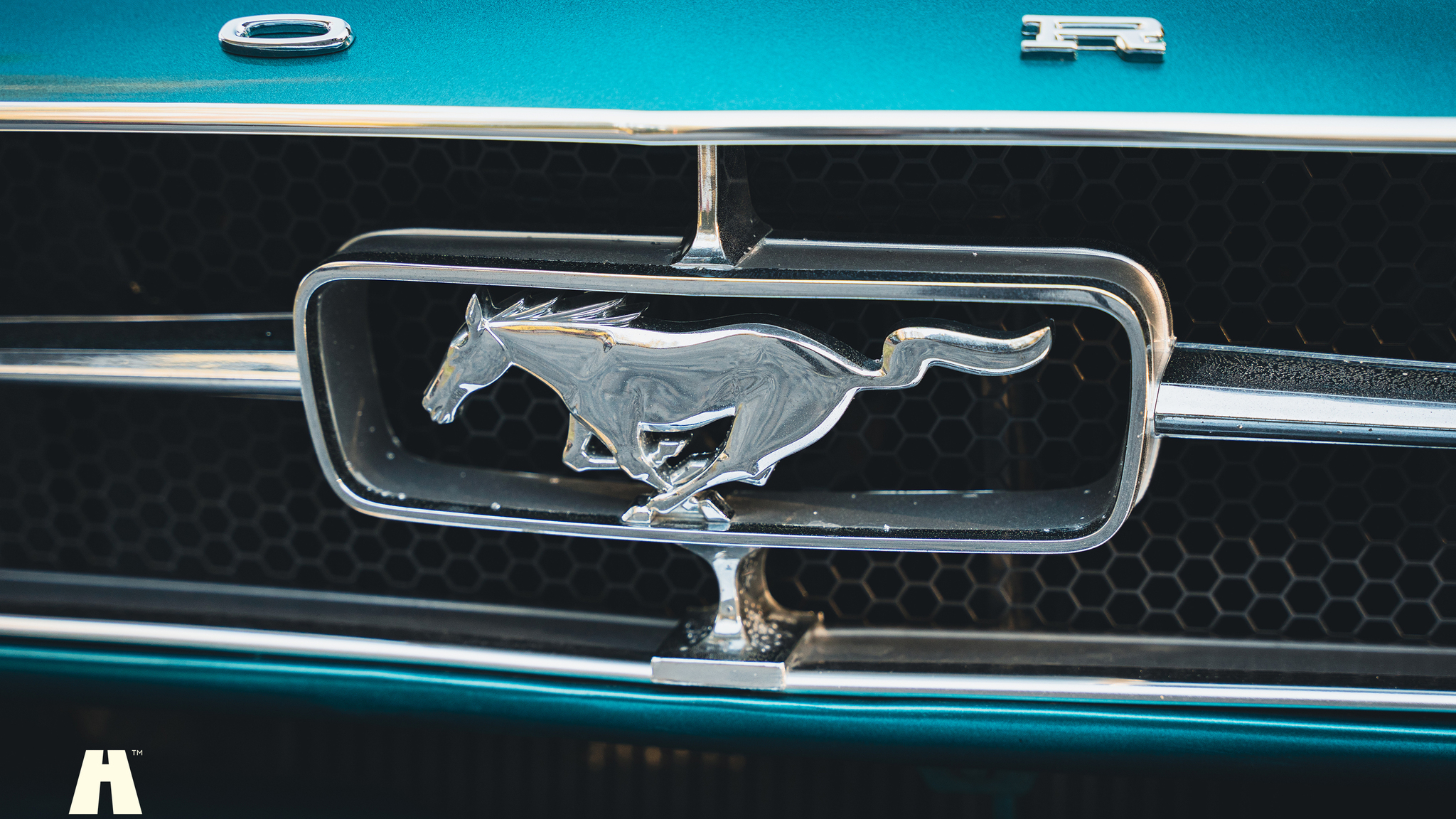 Aussenfoto 1965 Ford Mustang Cabriolet (29)