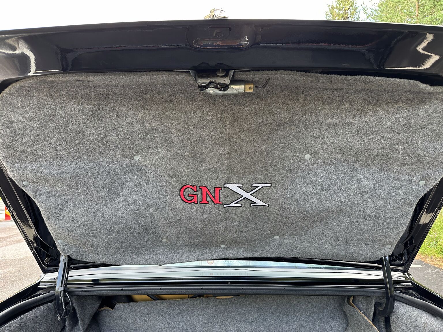 Interior image of 1987 Buick Grand National "GNX" (45)