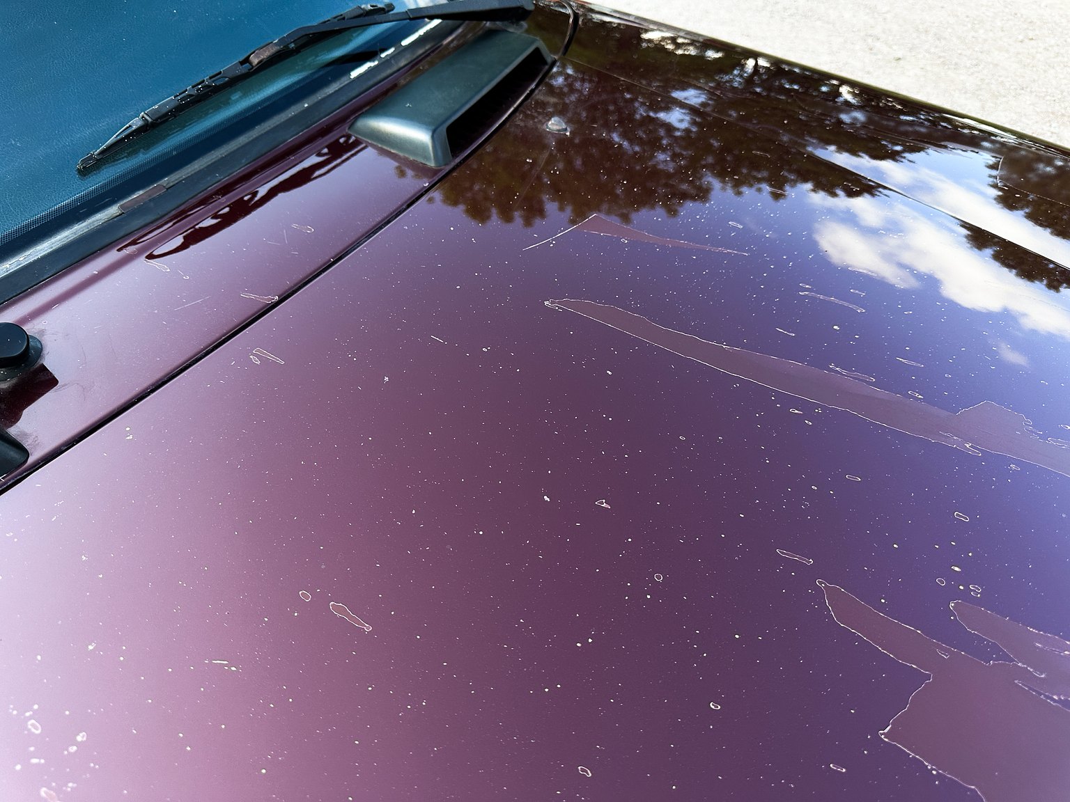 Exteriörbild på 1993 Volvo 245 GL Classic "No Reserve Auction"