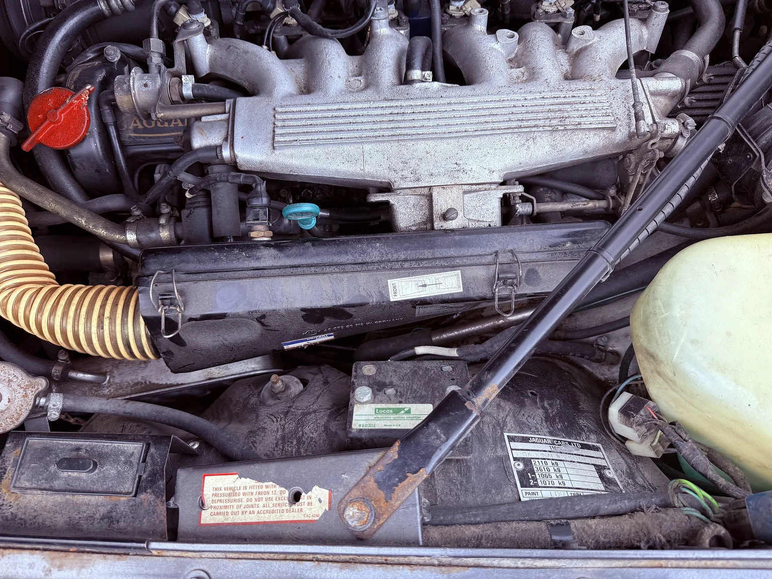 Image of 1985 Jaguar XJS HE mechanics (6)